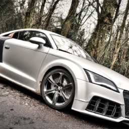 download Audi TTS workshop manual